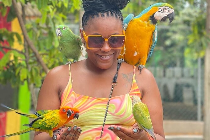 Montego Bay Exotic Herbs, Birds and Animals Interaction Tour - Why this small Montego Bay tour feels different