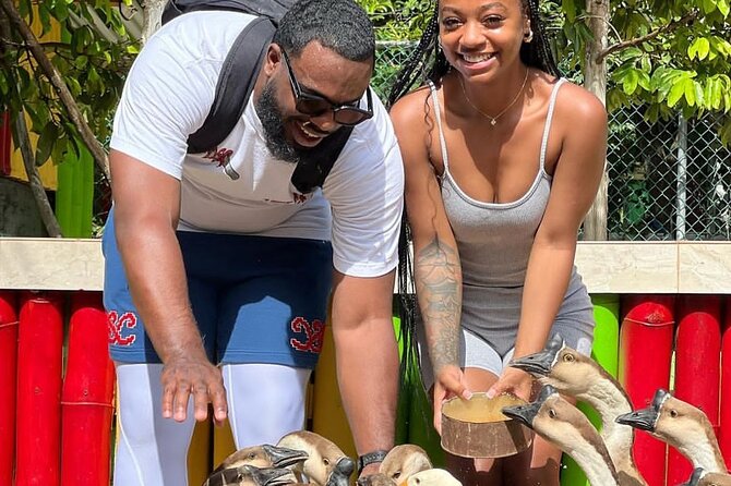 Montego Bay Exotic Herbs, Birds and Animals Interaction Tour - A relaxed two-hour pace, with time for photos