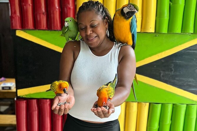 Montego Bay Exotic Herbs, Birds and Animals Interaction Tour - Who will enjoy this Ironshore experience most