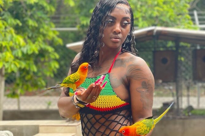 Montego Bay Exotic Herbs, Birds and Animals Interaction Tour - Meeting parrots, budgies, rabbits, and ducks at Ironshore