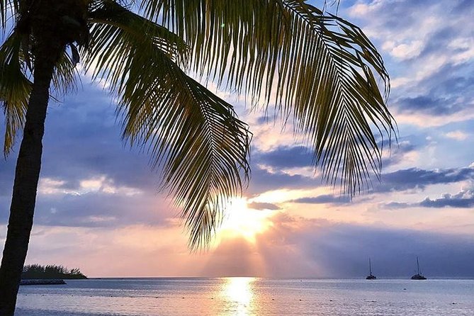 Montego Bay Highlights Tour from Montego Bay - What the private format really adds