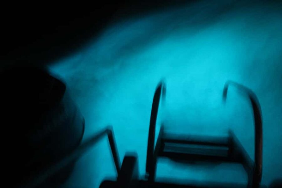 Montego Bay: Luminous Lagoon Evening Boat Tour - Why the water glows after dark