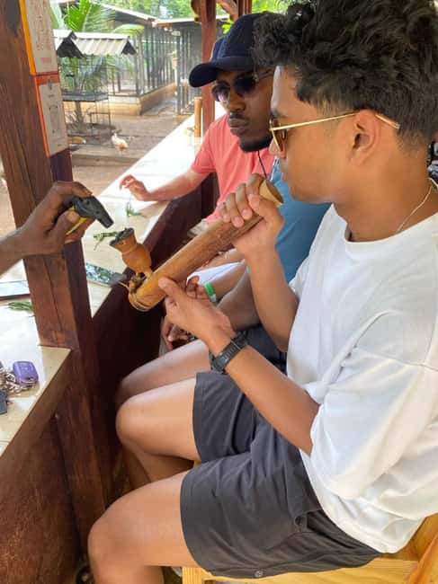 Montego Bay: Marijuana Farm and Bird Sanctuary Tour - What this Montego Bay outing really includes