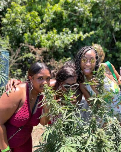 Marijuana Farm and Bird Sanctuary Tour