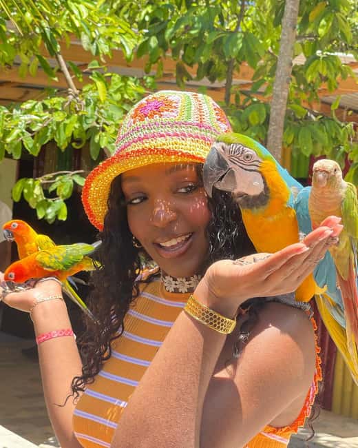 Montego Bay: Marijuana Farm and Bird Sanctuary Tour - The chalice pipe session and personal comfort