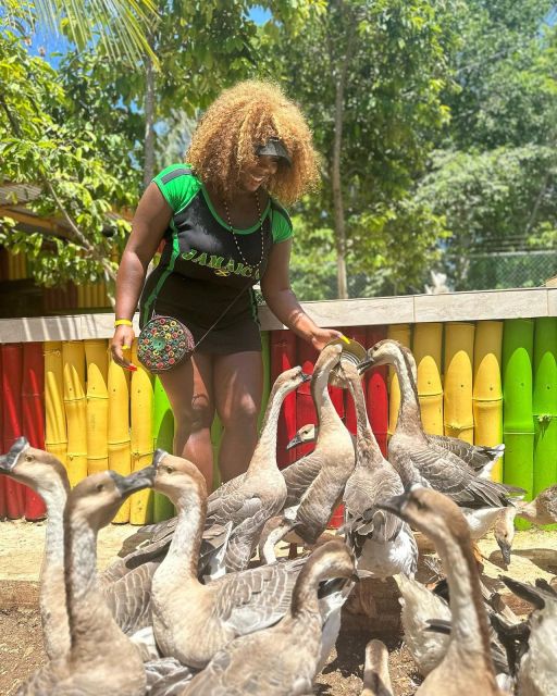 Montego Bay: Marijuana Farm and Bird Sanctuary Tour - Is the $87 price good value?