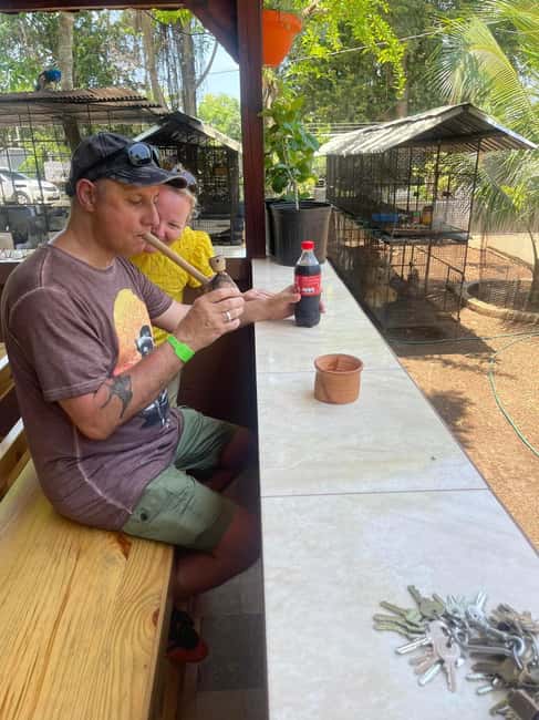 Montego Bay: Marijuana Farm Private Tour with Transportation - My recommendation for booking