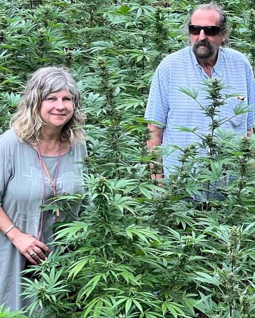 Montego Bay: Marijuana Farm Private Tour with Transportation - Getting there with Carlos, Randy, or another local driver