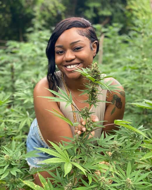 Montego Bay Marijuana Farm Tour - From Montego Bay beaches to working farm rows