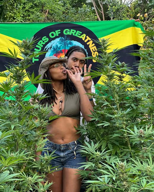 Montego Bay Marijuana Farm Tour - What the farm walk teaches you