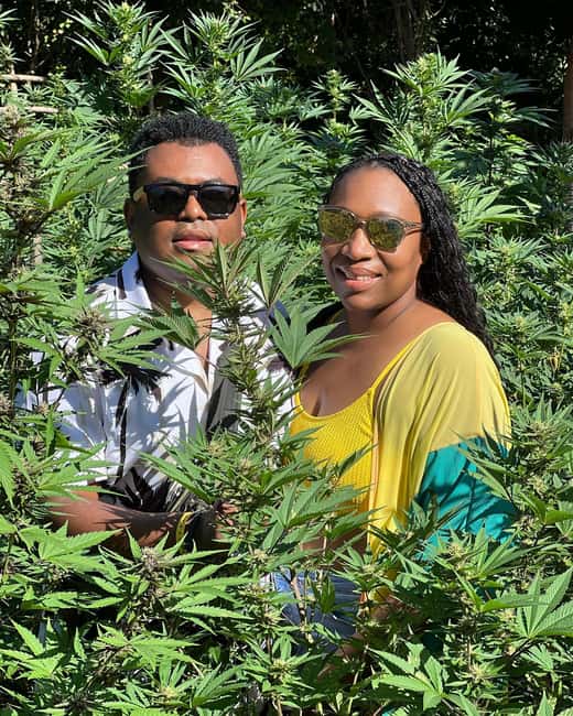 Montego Bay Marijuana Farm Tour - Is $140 a fair price?