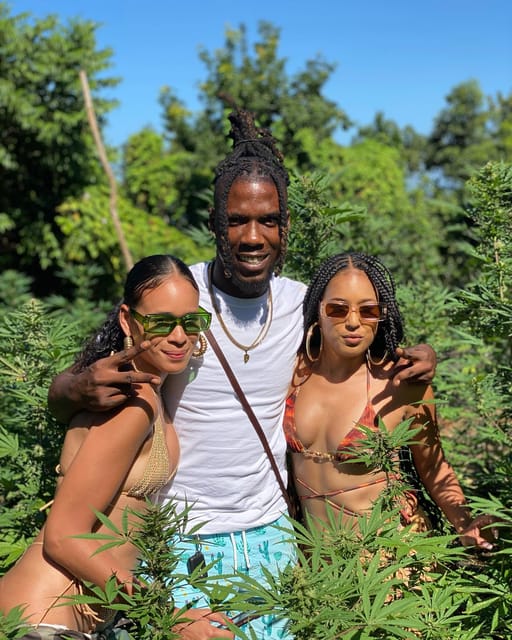 Montego Bay Marijuana Farm Tour - Practical booking advice for your day