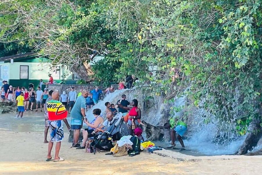 Montego Bay: Private Dunn's River Falls and Blue Hole Tour - What the guide can add beyond the waterfalls