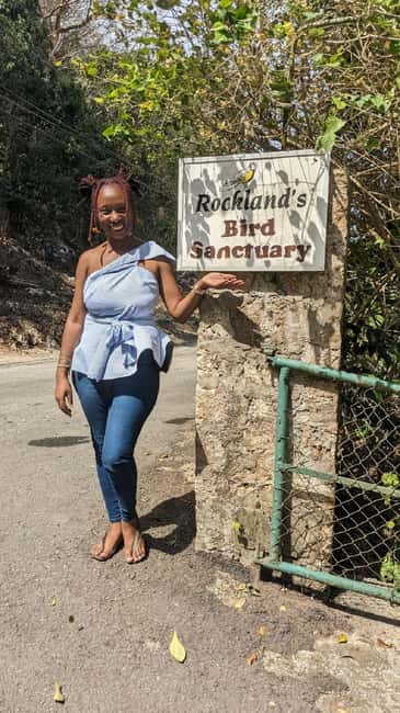 Montego Bay: Private Rocklands Bird Sanctuary Trip - Key points about the Rocklands bird visit