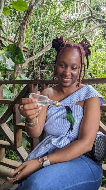 Montego Bay: Private Rocklands Bird Sanctuary Trip - Extra fees and the real cost of the outing