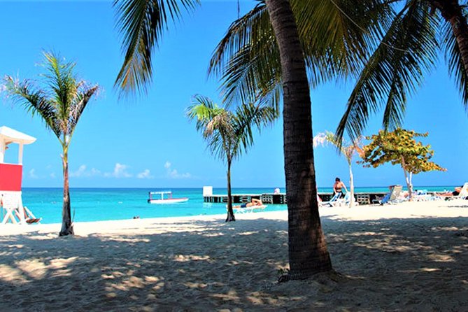 Montego Bay Shore Excursion: Doctor's Cave Beach & Montego Bay City Highlights - Who will enjoy this shore excursion