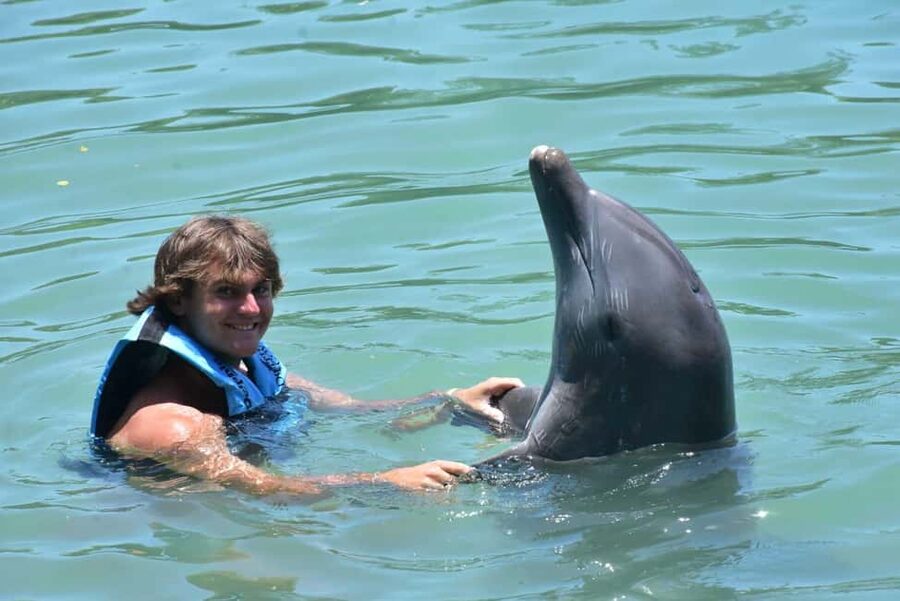 Montego Bay: Swim With The Dolphins Adventure in Lucea - Key points to know before booking