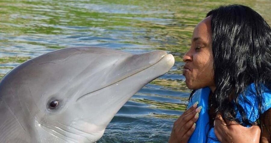 Montego Bay: Swim With The Dolphins Adventure in Lucea - The ride from your resort to the Hip Strip
