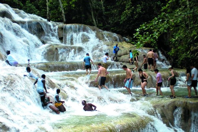 Montego Bay to Dunn's River Falls Half-Day Trip - The appeal of climbing Dunn’s River Falls