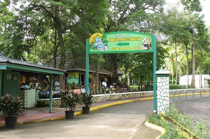 Montego Bay to Dunn's River Falls Half-Day Trip - Is $75 a fair price?