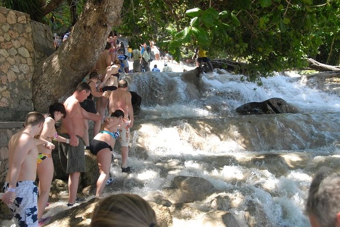 Montego Bay tour: Dunn's River Falls - Is $171.09 a Fair Price?