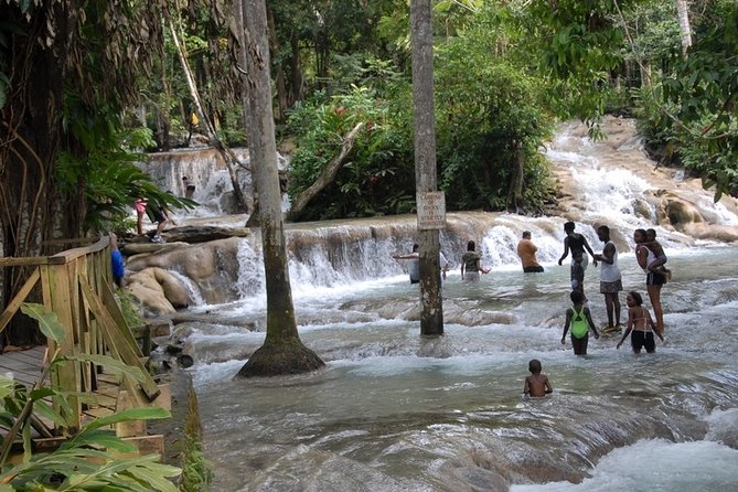 Montego Bay tour: Dunn's River Falls - Booking Details and Weather