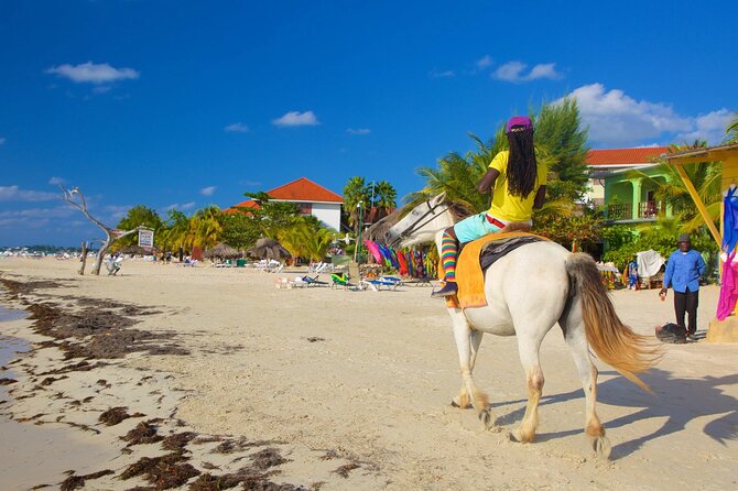 Negril 7 Mile Beach and Rick's Cafe Tour From Montego Bay Jamaica - The private-tour advantage