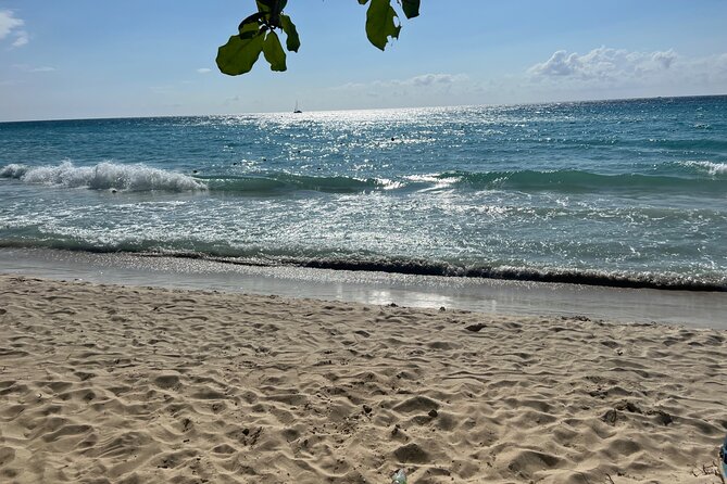Negril 7 Mile Beach and Ricks Cafe Tour - The guide can shape the feel of the day
