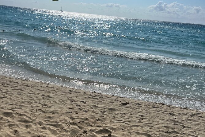 Negril 7 Mile Beach and Ricks Cafe Tour - Practical details that make the day easier