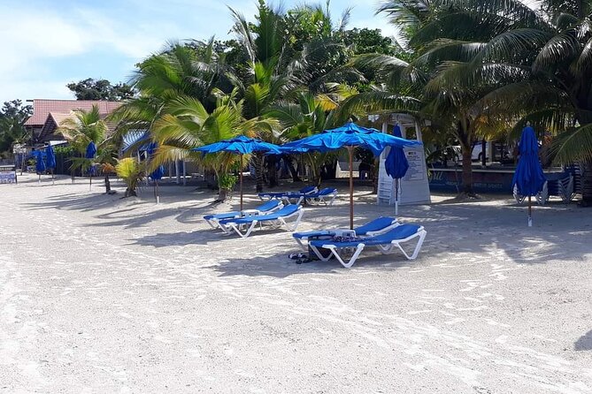 Negril 7 Miles Beach and Rick's Cafe Tour - The long ride from Montego Bay to Negril