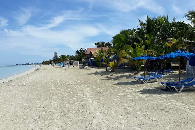Negril 7 Miles Beach and Rick's Cafe Tour - Is $131 a fair price?