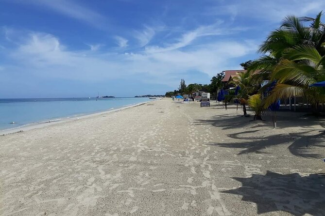 Negril 7 Miles Beach and Rick's Cafe Tour - Should you book the Seven Mile Beach and Rick’s Café tour?