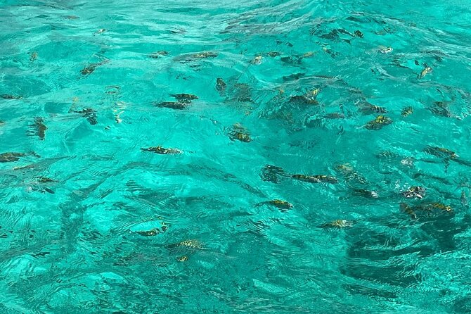 Negril and Ricks Cafe Sunset Tour with Boat Ride and Snorkeling - The boat ride and snorkeling option