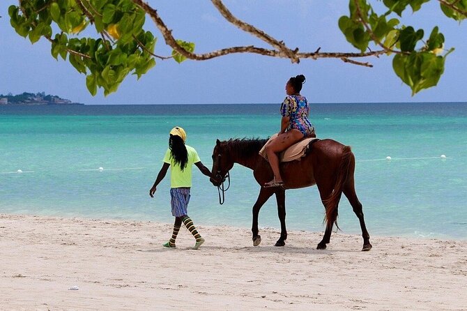 Negril Beach & Rick's Cafe Tour - The driver is the real added value