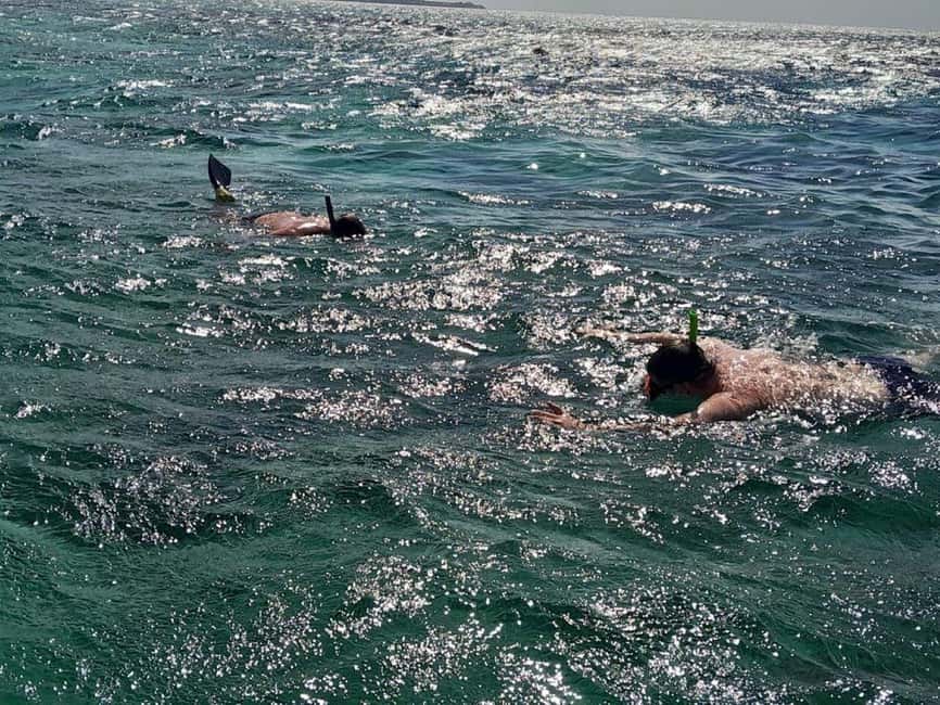 Negril: Booby Cay Island Picnic Tour with Snorkeling - One hour in the clear water