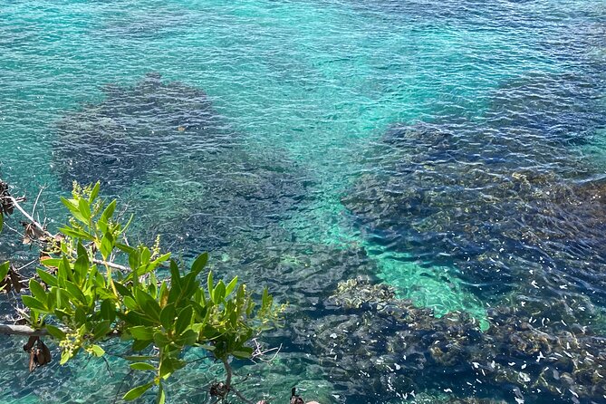 Negril day! beach and west end Cliffs with French Guide - Rick’s Cafe and the choice between two famous stops