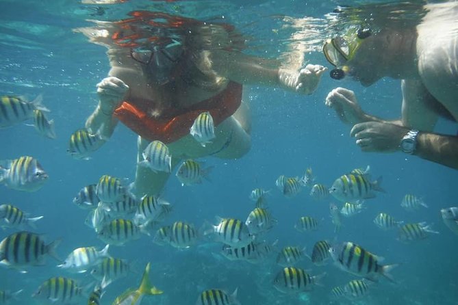 Negril Lobster Lunch on Booby Cay & Snorkeling To a Sunken Cannon - Reef, cannon, and lunch on one half-day boat trip