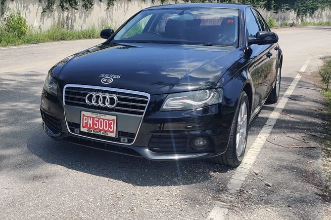 Negril Private Airport Transfer - Who will like this Negril transfer?
