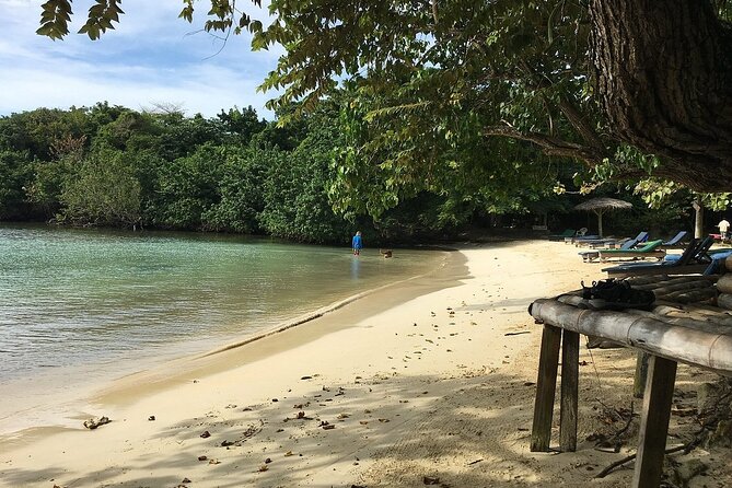 Negril Private and Public Beach with Ricks Cafe from Montego Bay - What the private vehicle adds