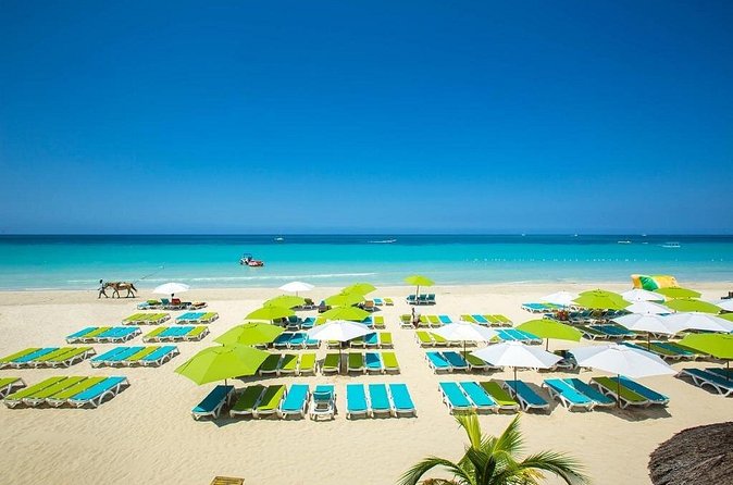 Negril's Private Day Trip with Margaritaville and Rick's Cafe - Rick’s Cafe and the cliff-jumping choice