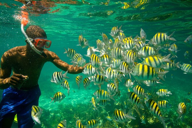 Negril Seven Miles Beach, Snorkeling, Boat Ride, Ricks Cafe Combo - Who will enjoy this Negril excursion most