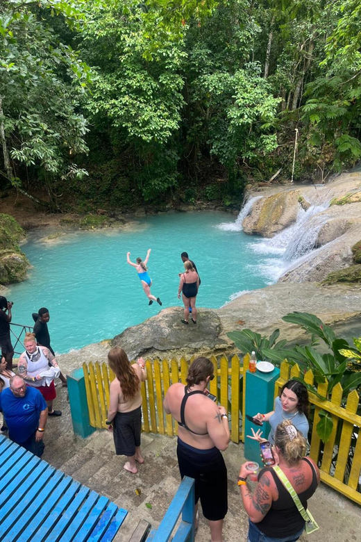 Ocho Rios : Blue Hole and Sightseeing Tour - Who will enjoy this tour most