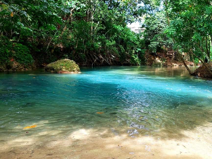 Ocho Rios: Blue Hole, Dunn’s River & Reggae Hill Guided Tour - What the $159 price really covers