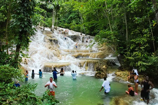 Ocho Rios Day Tour 3 in 1 Combo - What this Montego Bay to Ocho Rios day looks like