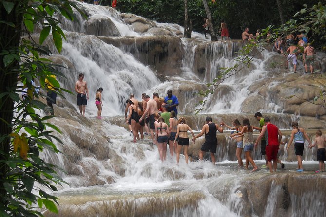 Ocho Rios Day Tour 3 in 1 Combo - Blue Hole: swimming, jumps, and a Tarzan swing
