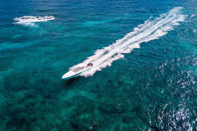 Ocho Rios Powerboat & Dunn’s River Falls Adventure - Jamaican lunch and the value of the package