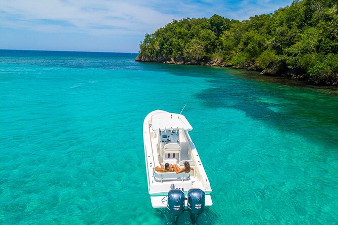 Ocho Rios Powerboat & Dunn’s River Falls Adventure - Who will enjoy this Ocho Rios adventure