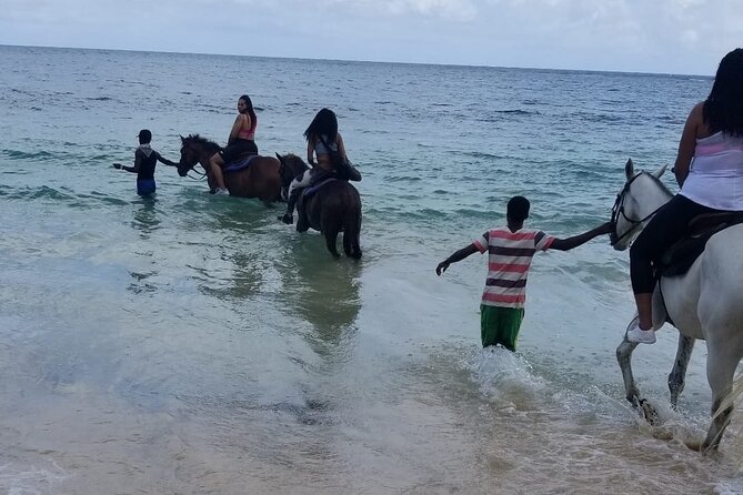 Ocho Rios Private Horse Riding, River Tubing and Rafting[Entry fee not included] - What the $134.16 price really buys you
