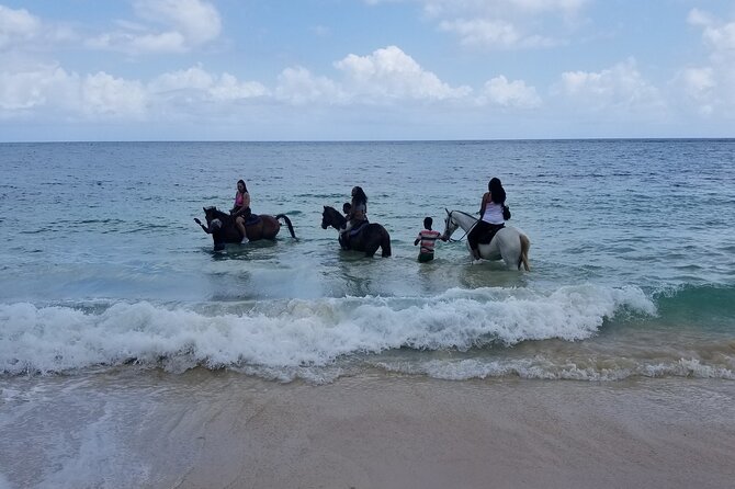 Ocho Rios Private Horse Riding, River Tubing and Rafting[Entry fee not included] - Who will get the most from this outing