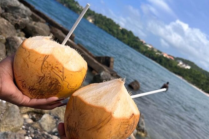 Ocho Rios Sightseeing Tours and Shopping - A private ride from Runaway Bay to Ocho Rios